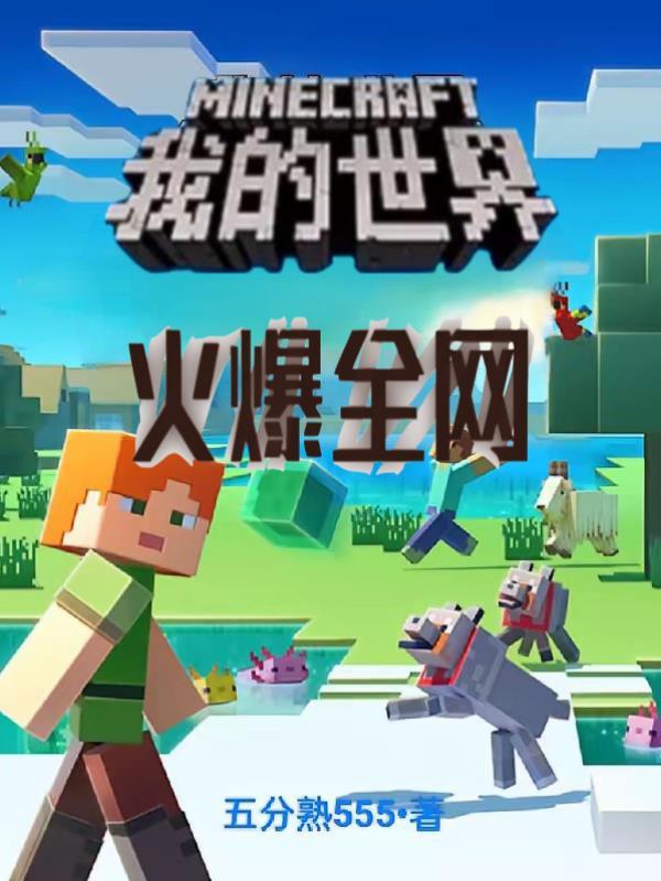 网昜我的世界