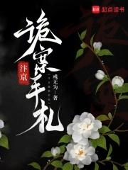 汴京诡案手札结局解析