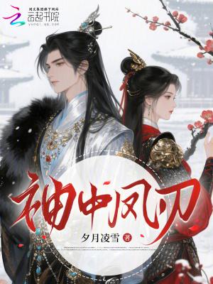 袖中凤刃